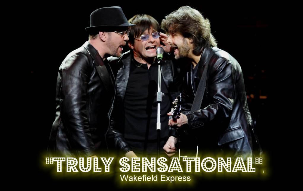 Jive Talking - The Bee Gees Story